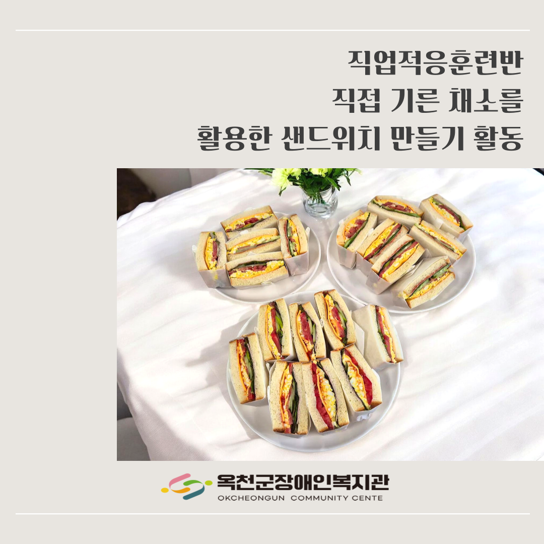 직업적응훈련반 샌드위치 만들기(feat.직접기른채소)